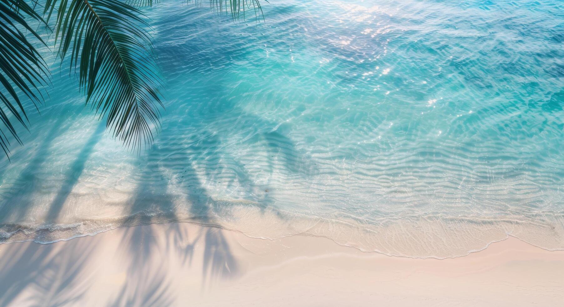 Tranquil Shoreline With Palm Trees and Crystal Clear Waters at Sunrise photo