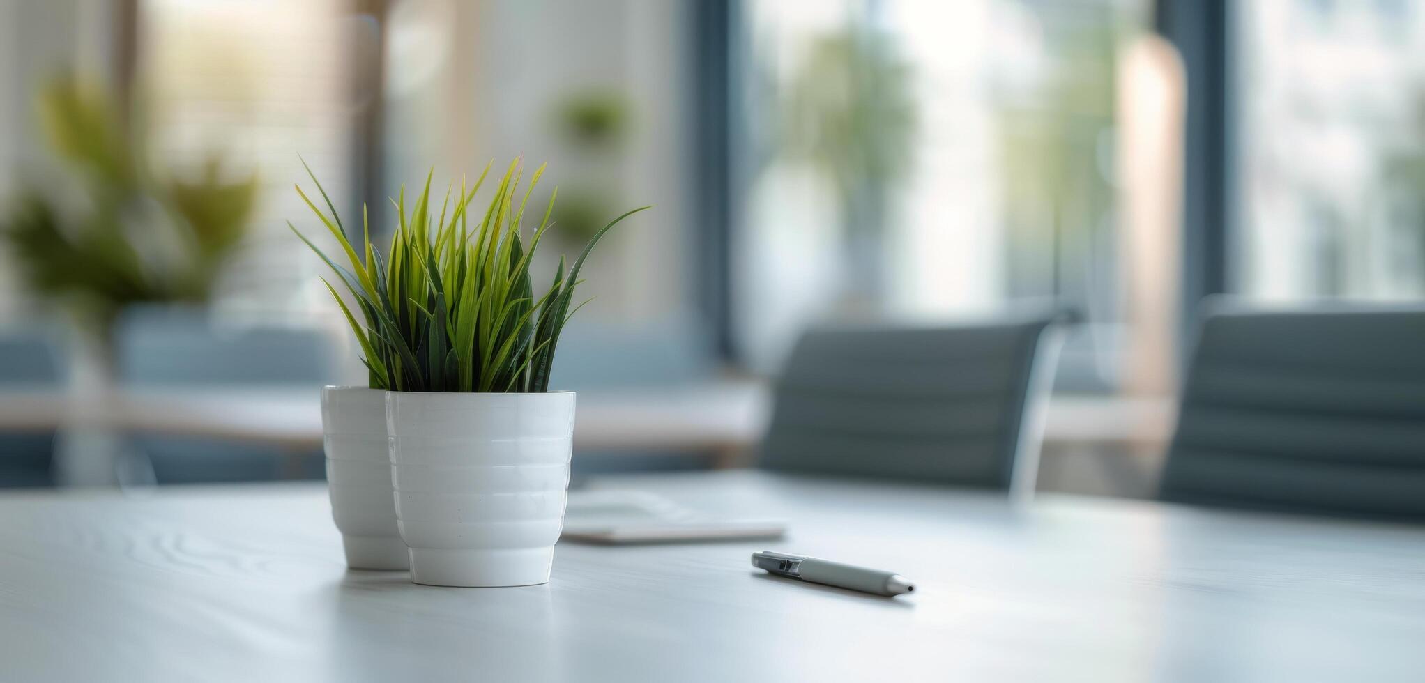 White Potted Plant on Table photo