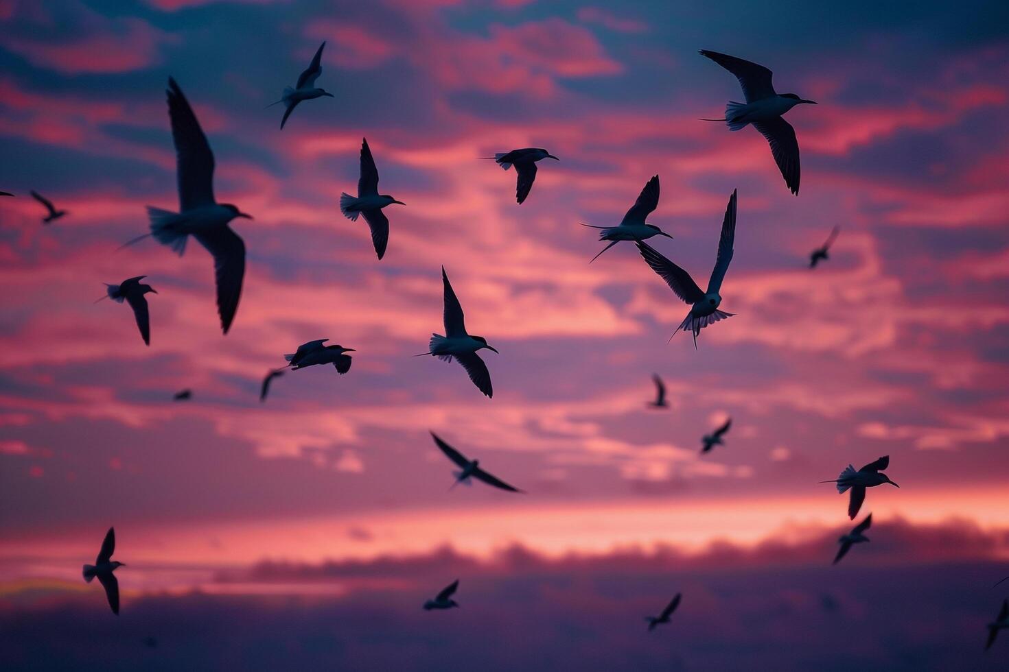 Arctic Terns Silhouetted Against the Vivid Hues of Polar Twilight Sky During Their Migration Background photo