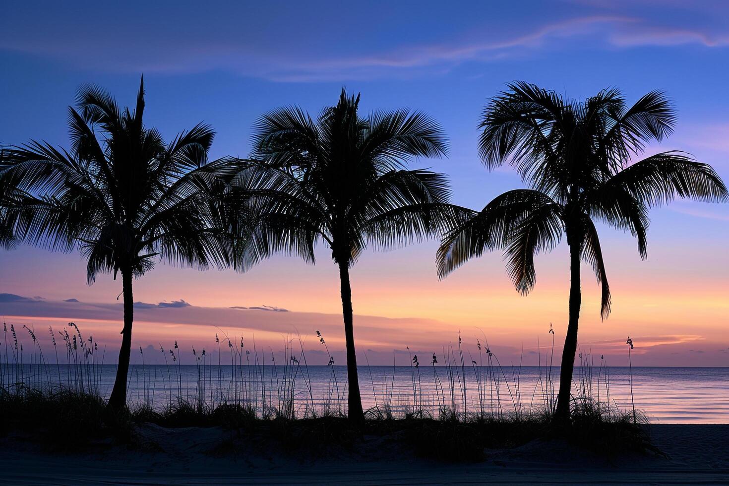 Palm trees silhouetted against dramatic sky during twilight on the beach background photo