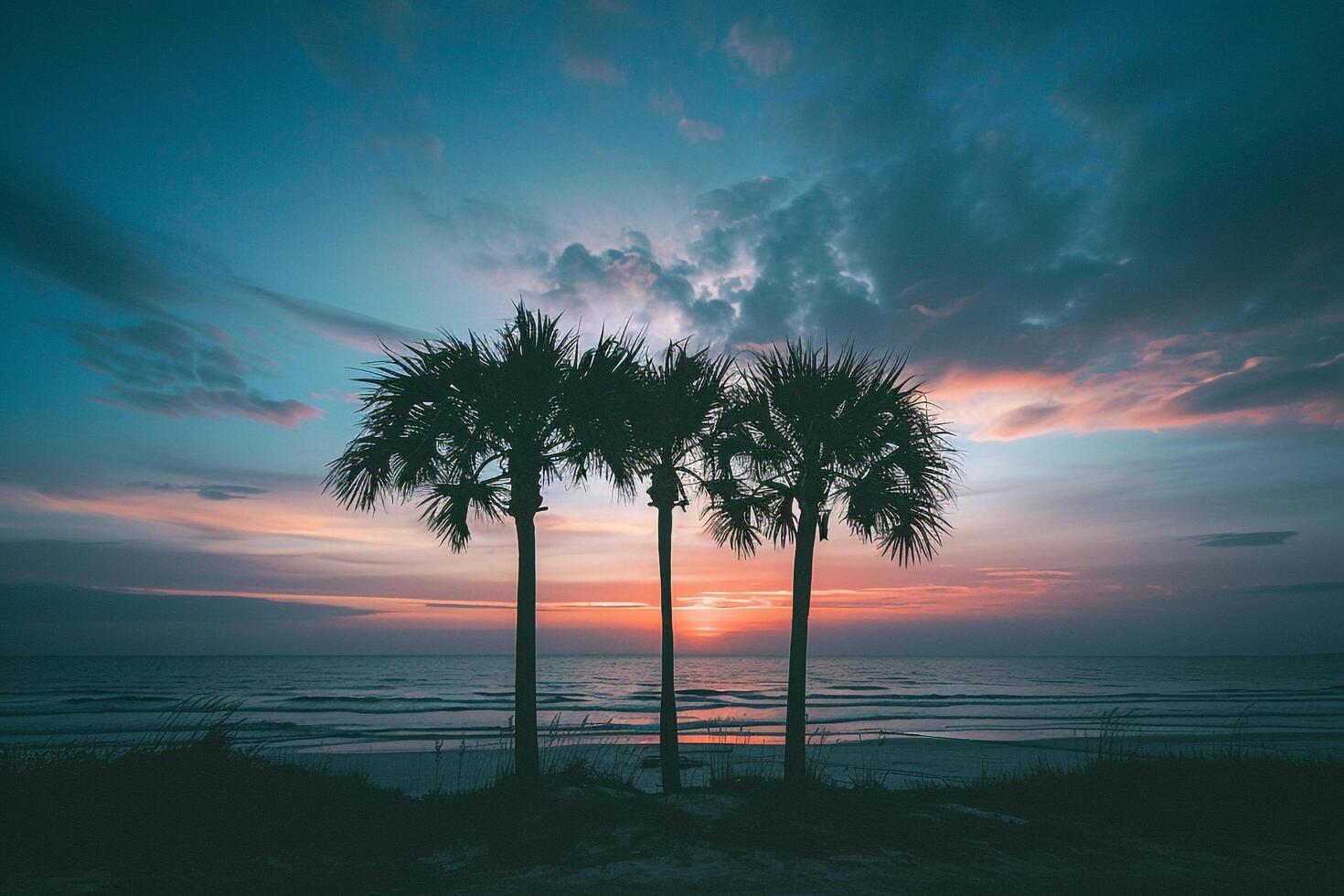 Palm trees silhouetted against dramatic sky during twilight on the beach background photo