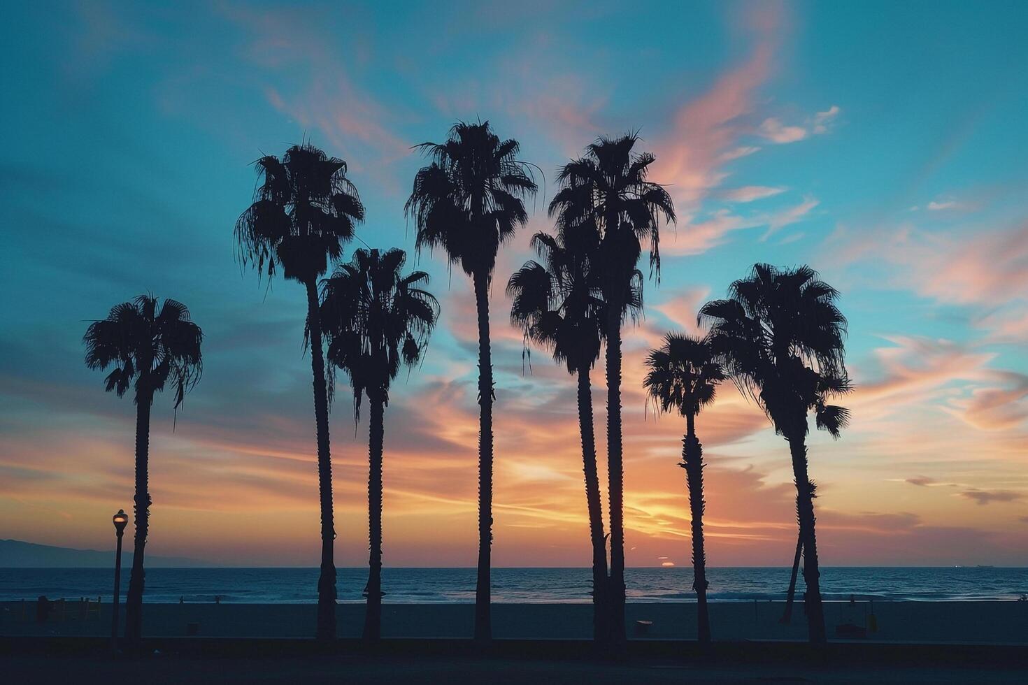 Palm trees silhouetted against dramatic sky during twilight on beach background photo
