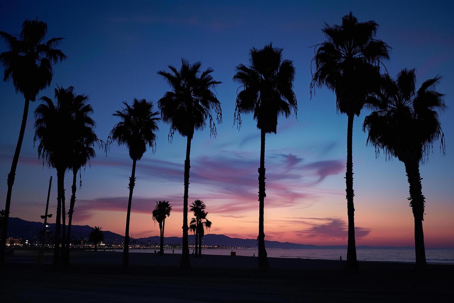 Palm trees silhouetted against dramatic sky during twilight on beach background photo