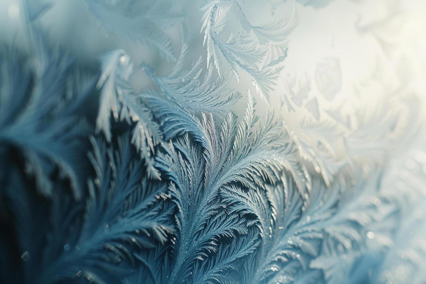 Abstract experimental  background of intricate frost patterns on windowpane during blizzard photo