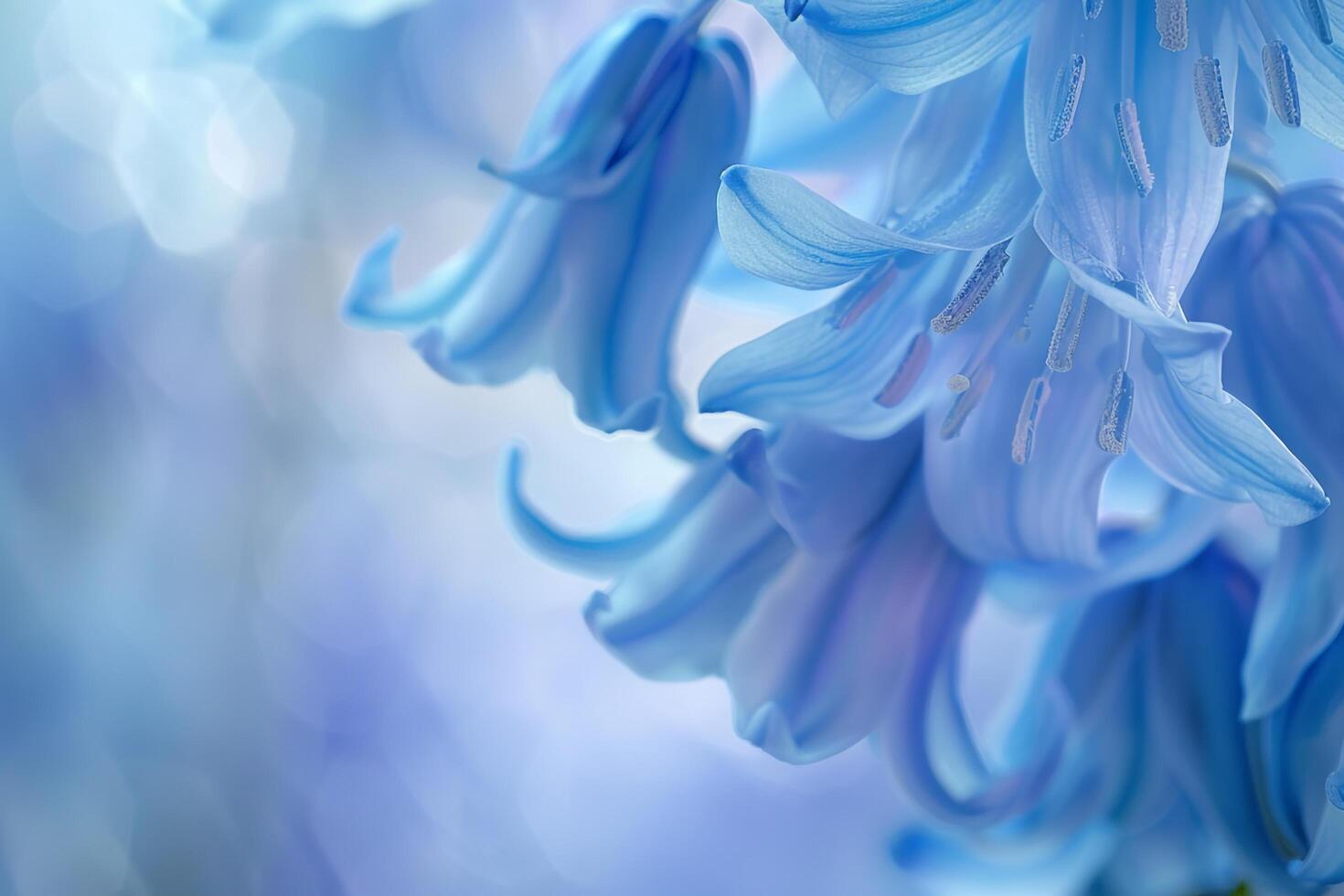 Floral Elegant VirginiBluebell nature background photo