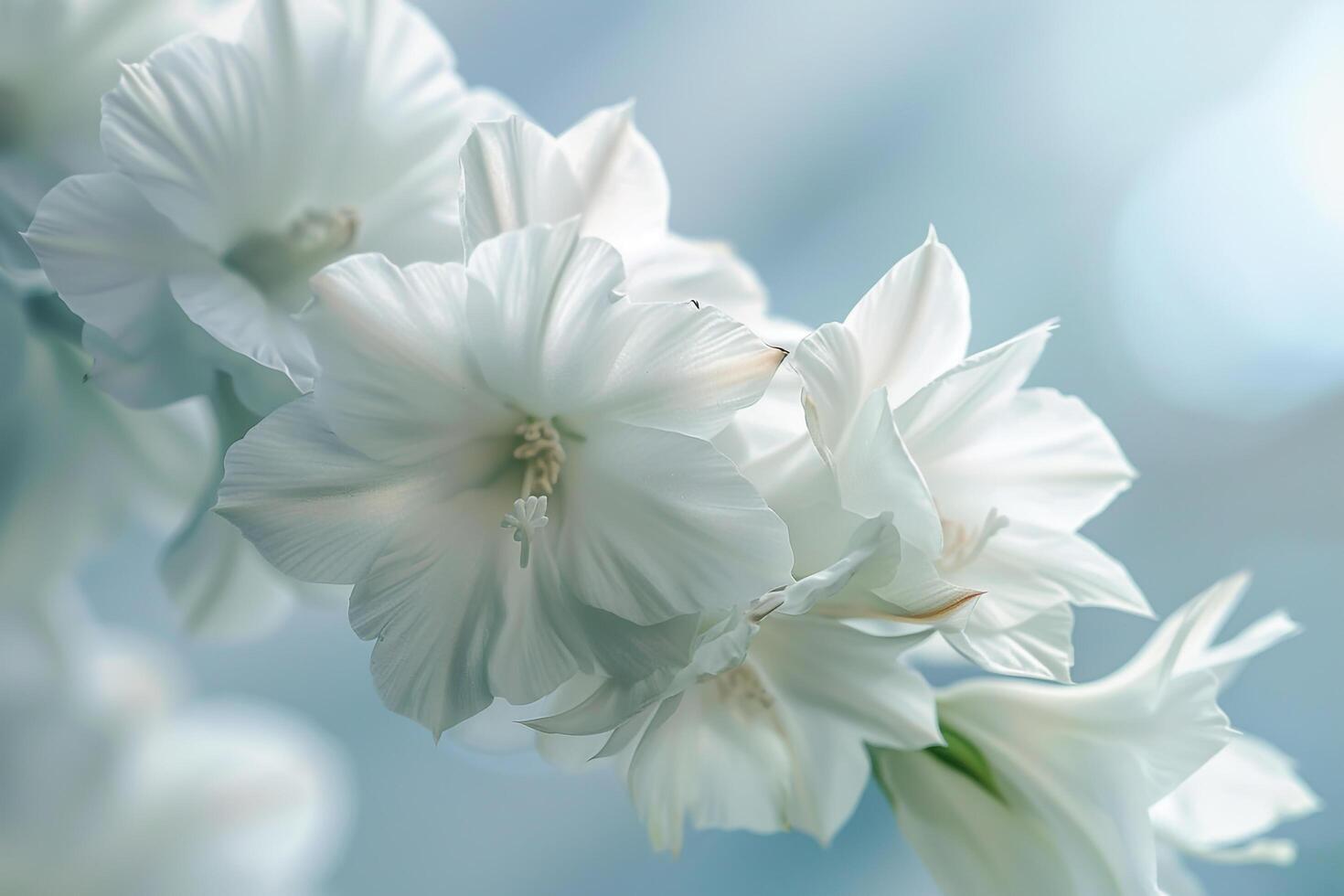 Floral Yuccnature background photo