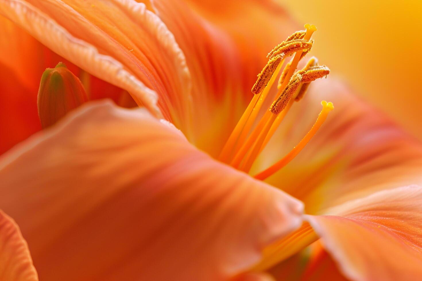 Floral Zauschnerinature background photo