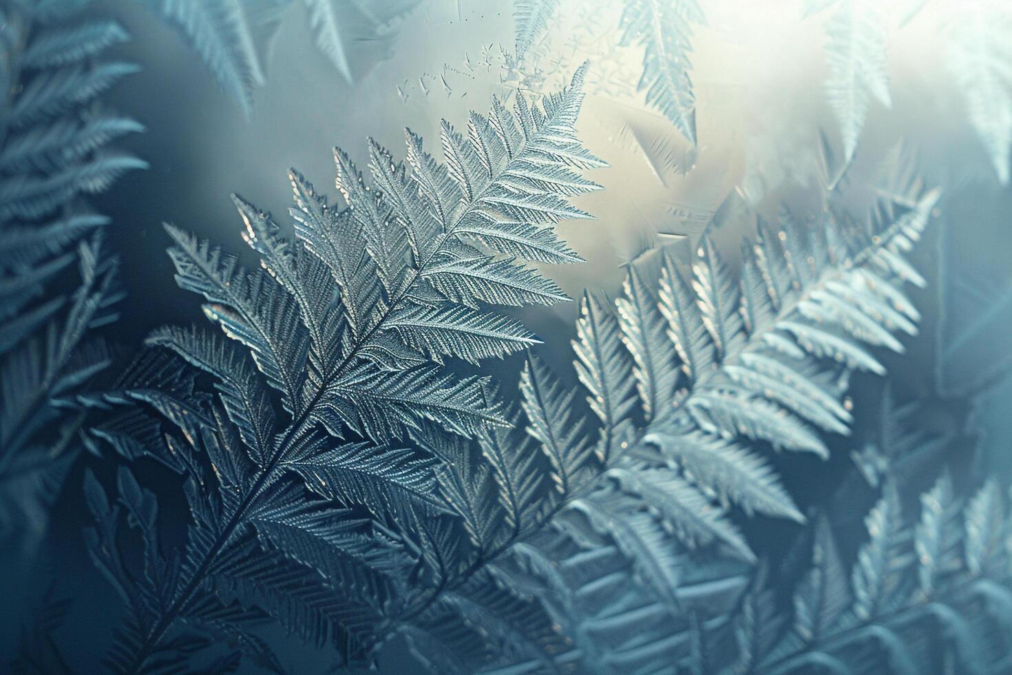 Patterns of Frost on Window Resembling Delicate Fern Leaf nature background photo