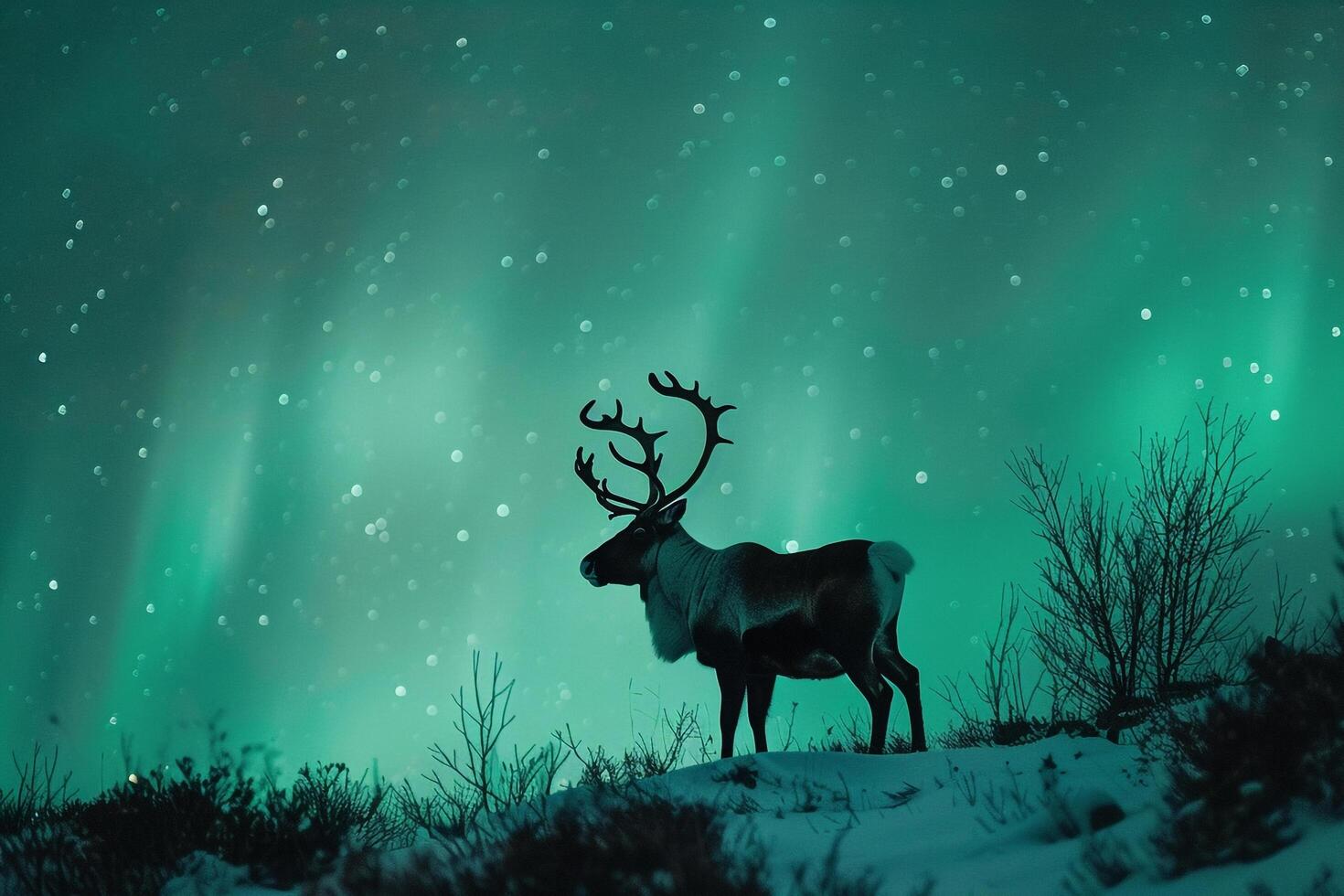 Regal Caribou stag standing proudly on snowcovered hillside with antlers silhouetted against the AurorBorealis dancing in the Arctic night sky photo