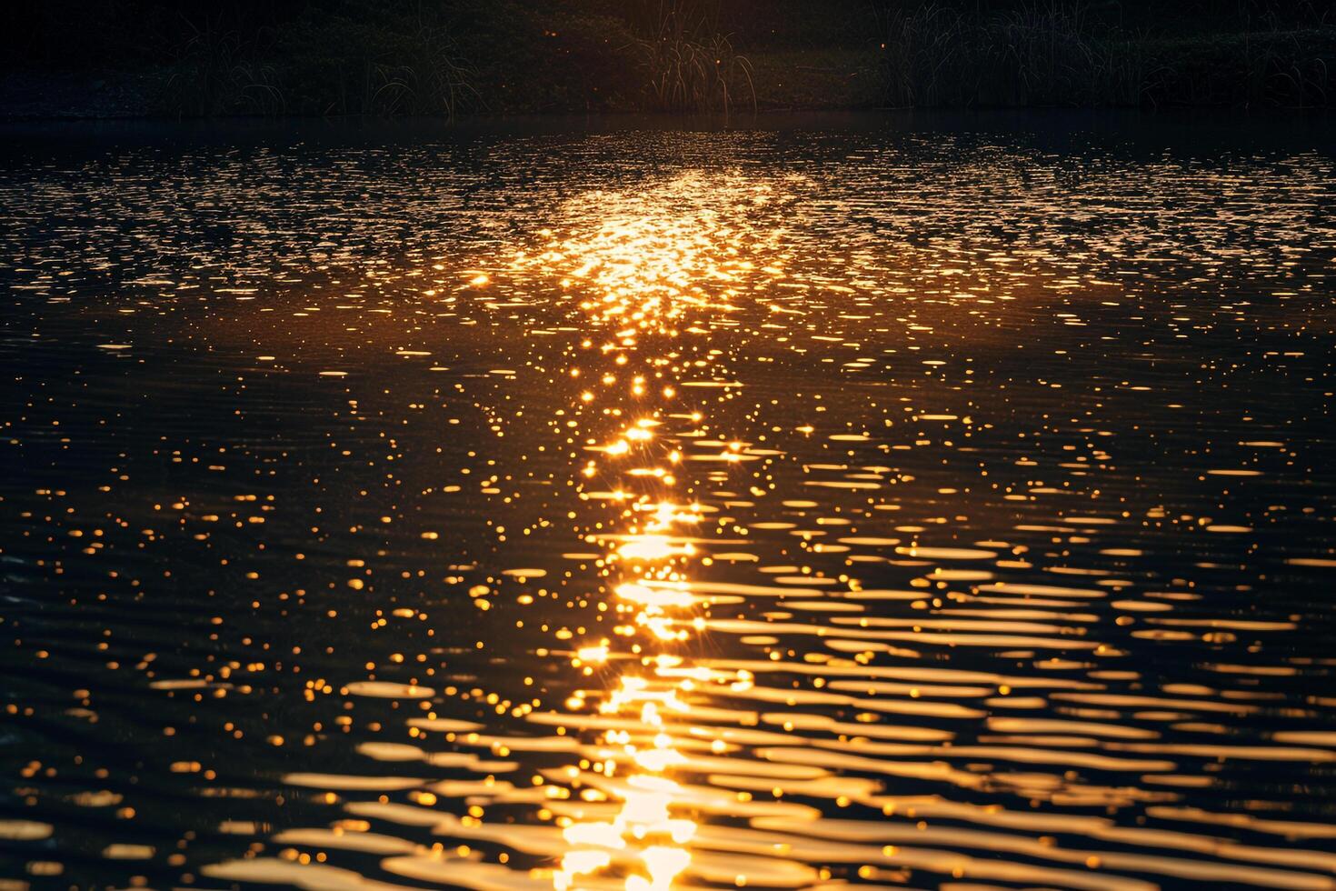 Seascape Sunlight Casting Golden Glow on the Surface of Lake nature background photo