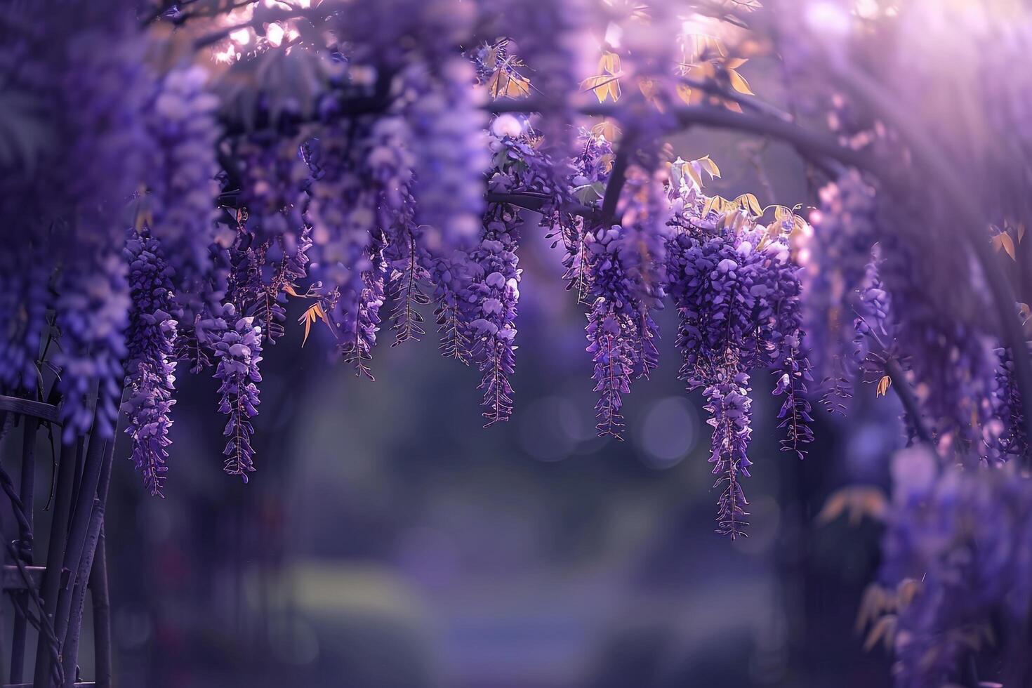 Nature Majestic WisteriArch  nature background photo