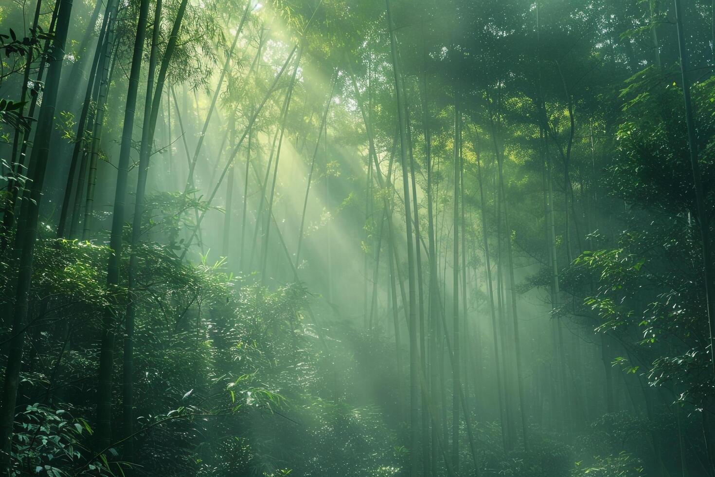 Ethereal Background Stock Photos, Images and Backgrounds for Free ...