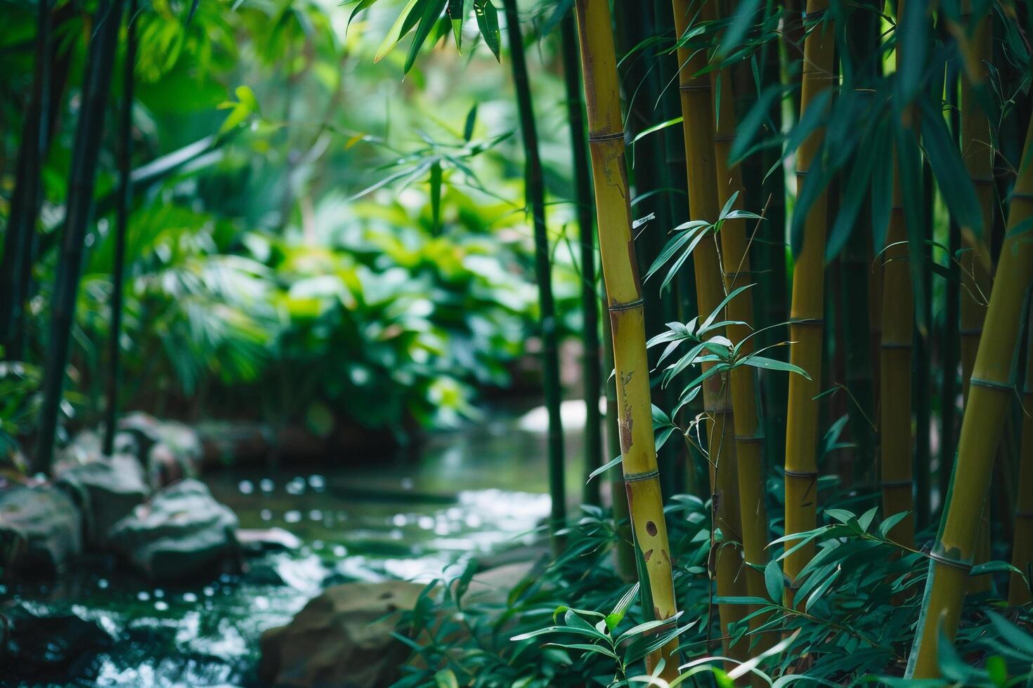 Tranquil Bamboo Forest with Gentle Stream and Dense Greenery Nature nature background photo