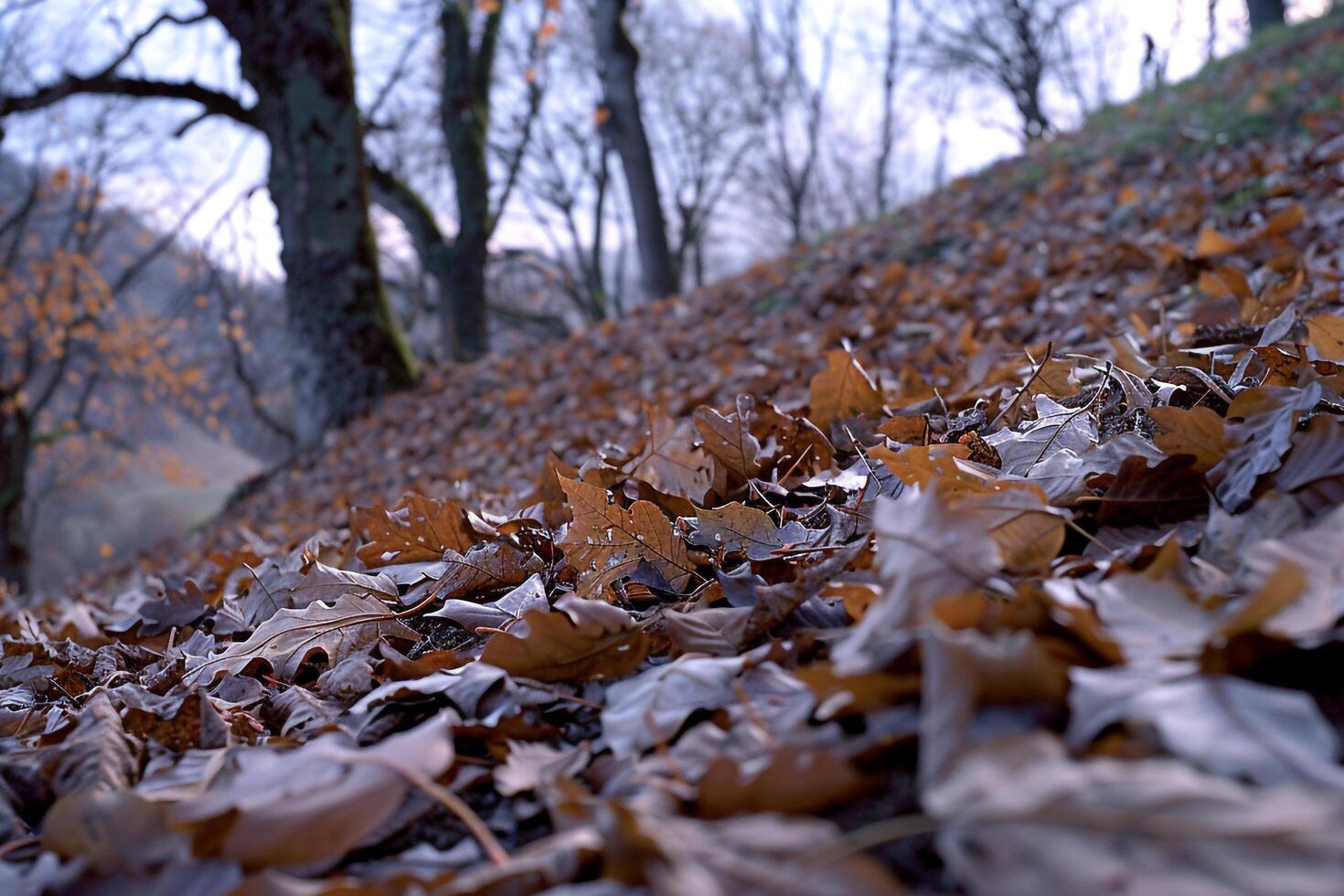 nature background Serene Hillside Covered in Autumn Leaves photo