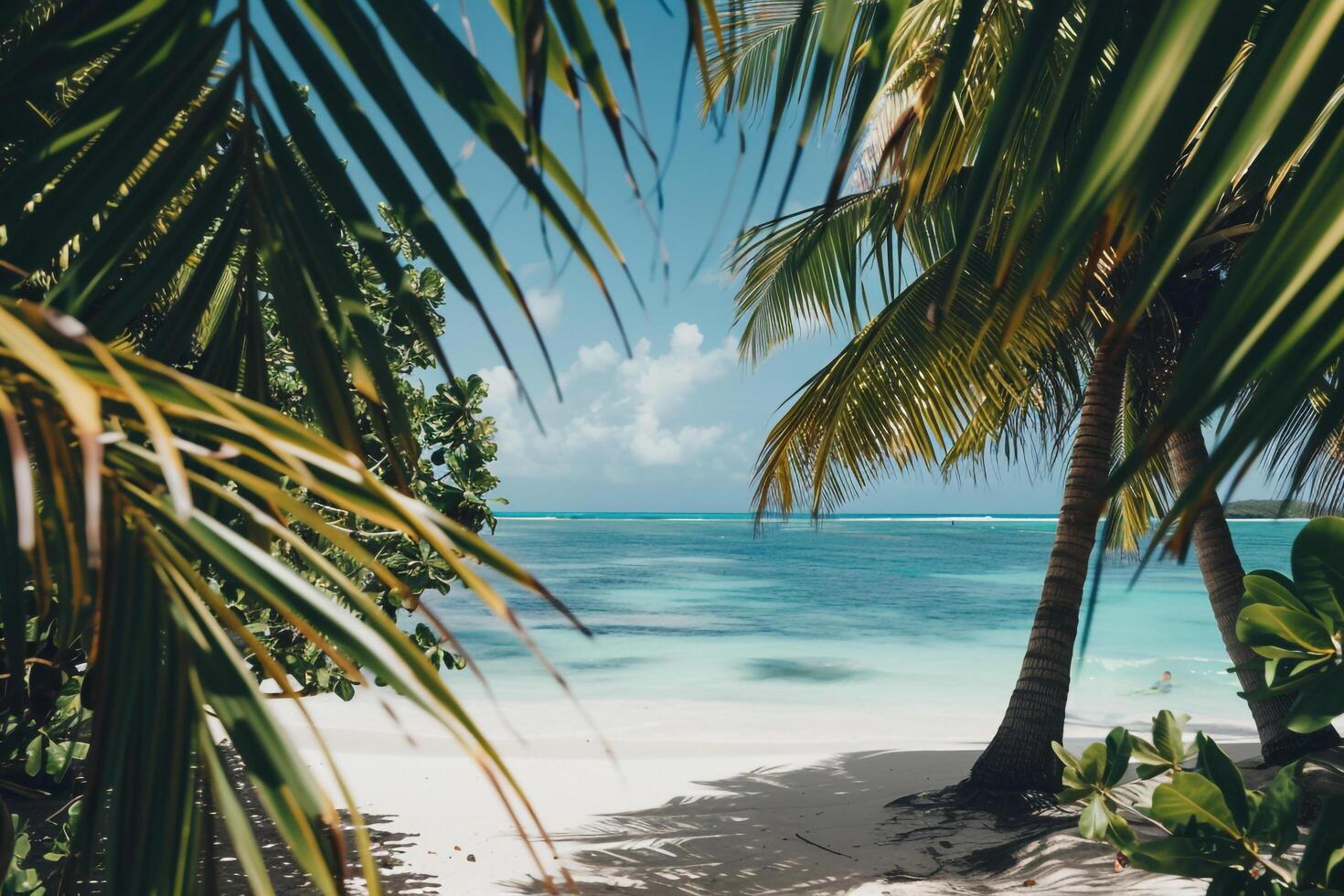 Pristine Island with White Sandy Beaches Turquoise Waters and Palm Trees Under a Clear Blue Sky   nature background photo