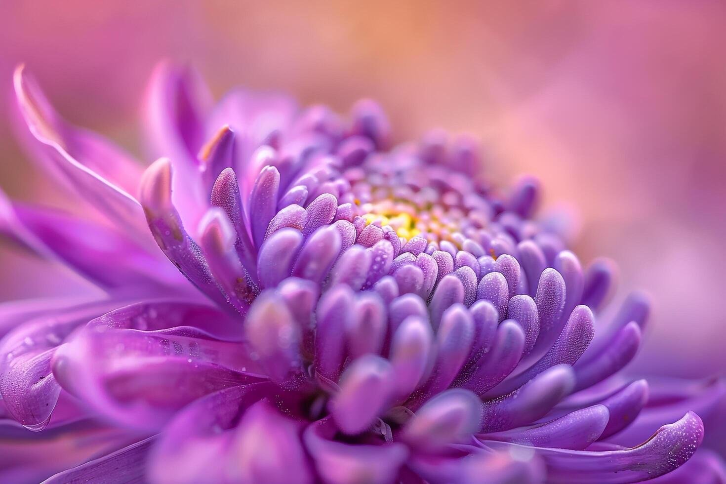 Floral Enchanting Zinnia nature background photo