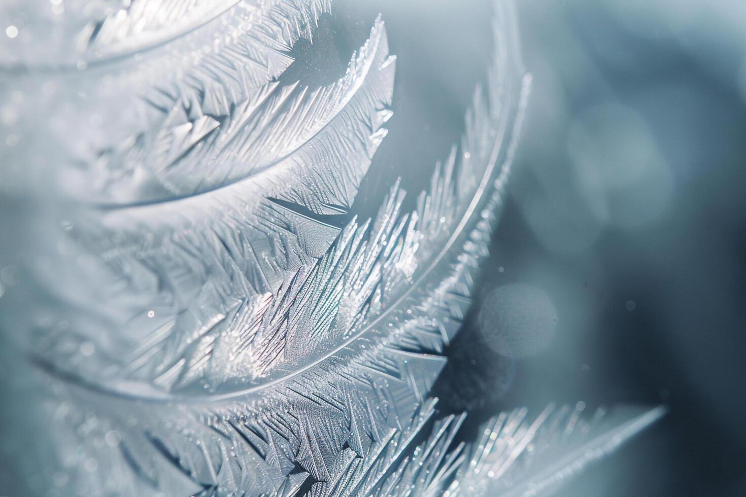 Captivating Frost Patterns on Winter Window Mimicking Delicate Feathers photo