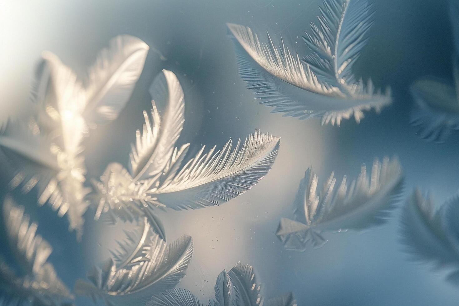 Delicate Frost Patterns on Winter Window Resembling Feathers Natures Artwork photo