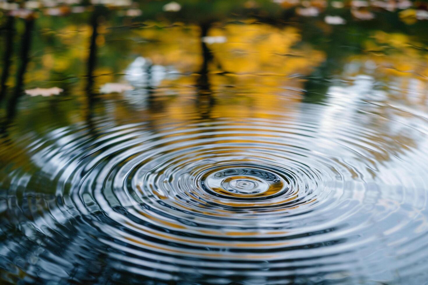 Nature Serene Pond Ripples Reflecting Tree Patterns  nature background photo