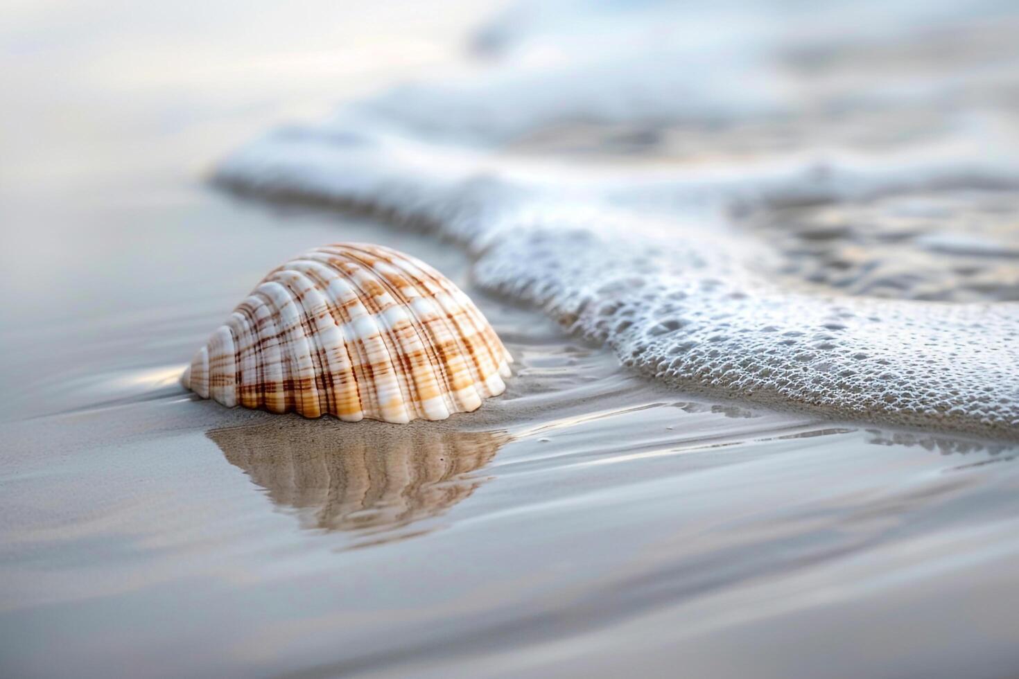 Single seashell resting on smooth wet sand with gentle waves lapping at the shore nature background photo