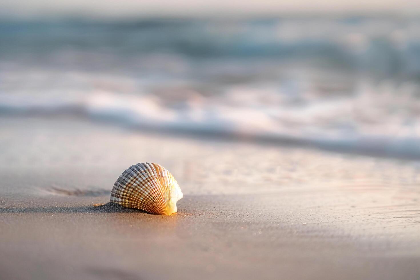Seashell on a sandy beach with waves gently lapping background nature photo