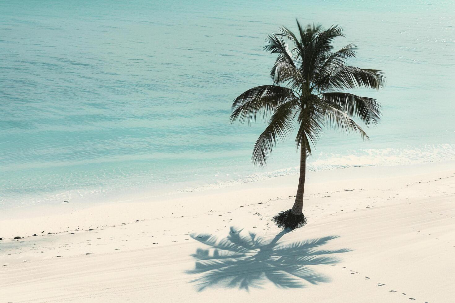 Lone palm tree casting shadow on the pristine white sand beach with turquoise waters background nature photo
