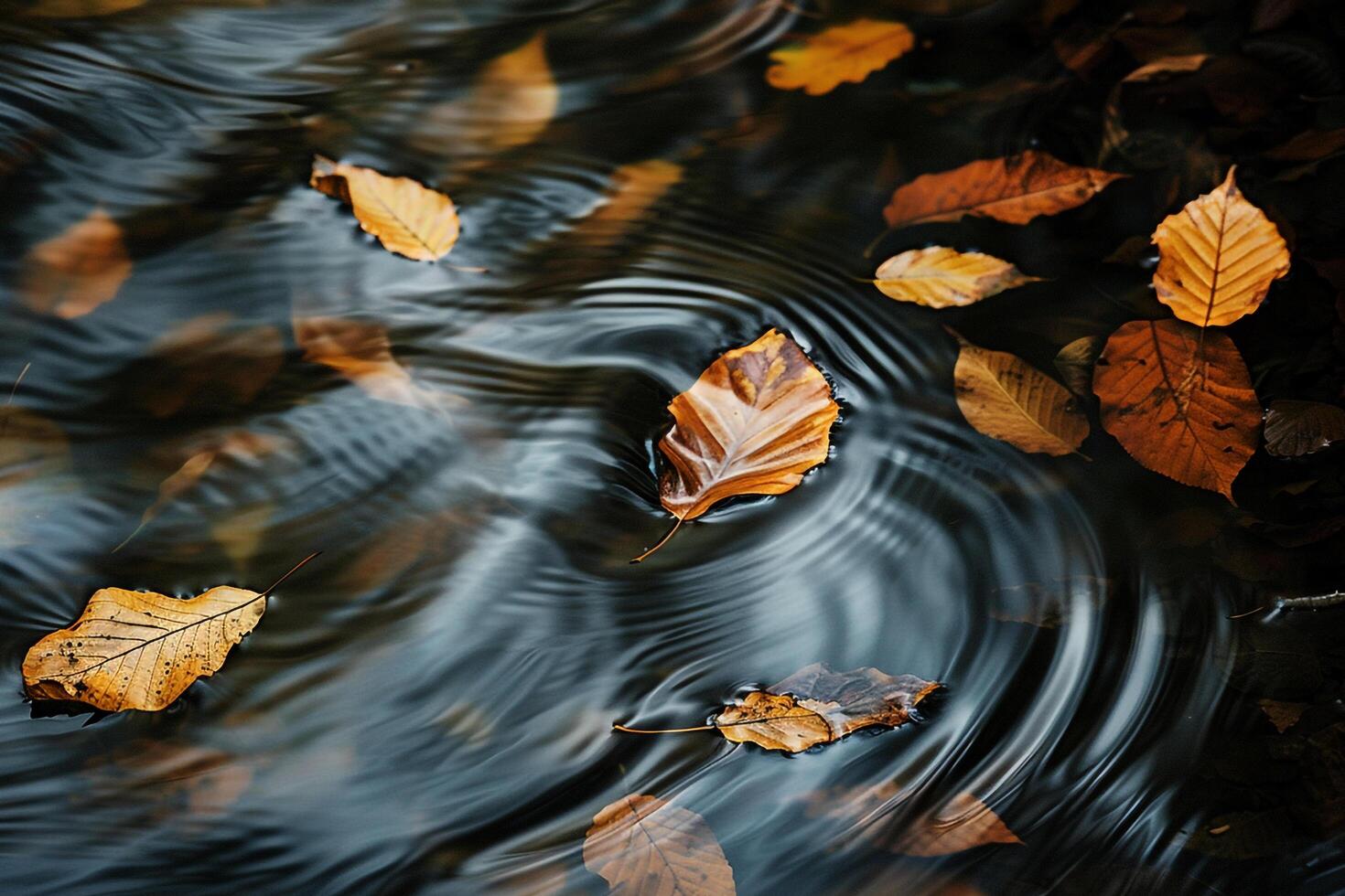 Conceptual Intriguing Abstract Patterns Created by Floating Leaves Reflected in the Rippling Water of Secluded Forest Stream   nature background photo