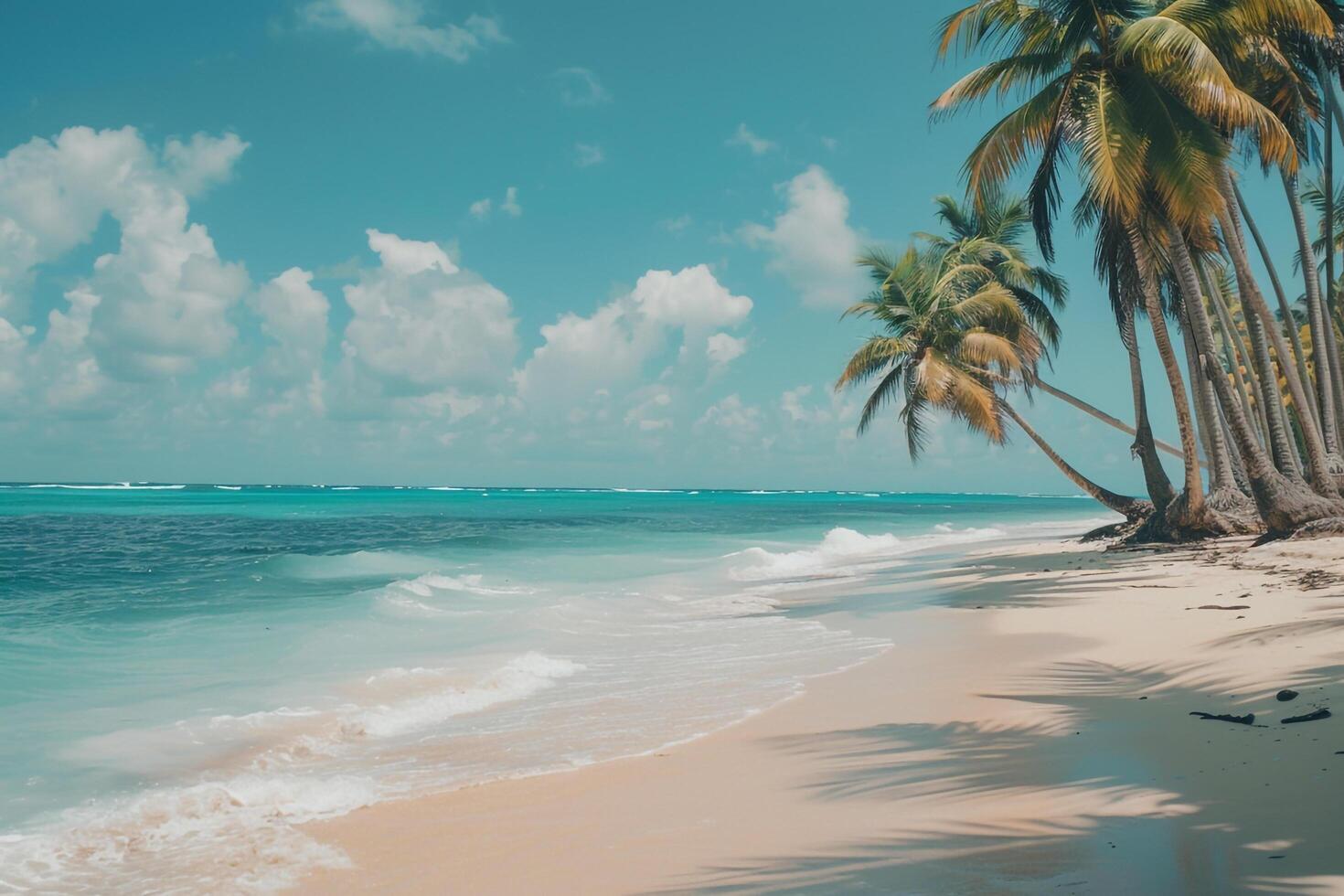 Secluded Beach with Palm Trees Swaying Gently in the Breeze Turquoise Water Lapping at the Shore   nature background photo