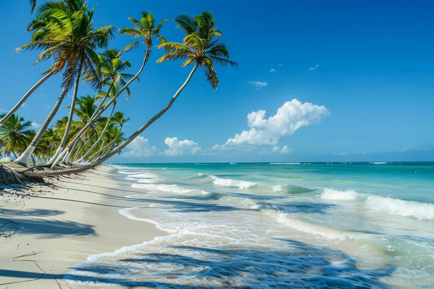 Freedom Coconut Palms Lining Sandy Beach with Gentle Waves Breaking on the Shore Under Clear Blue Sky  nature background photo
