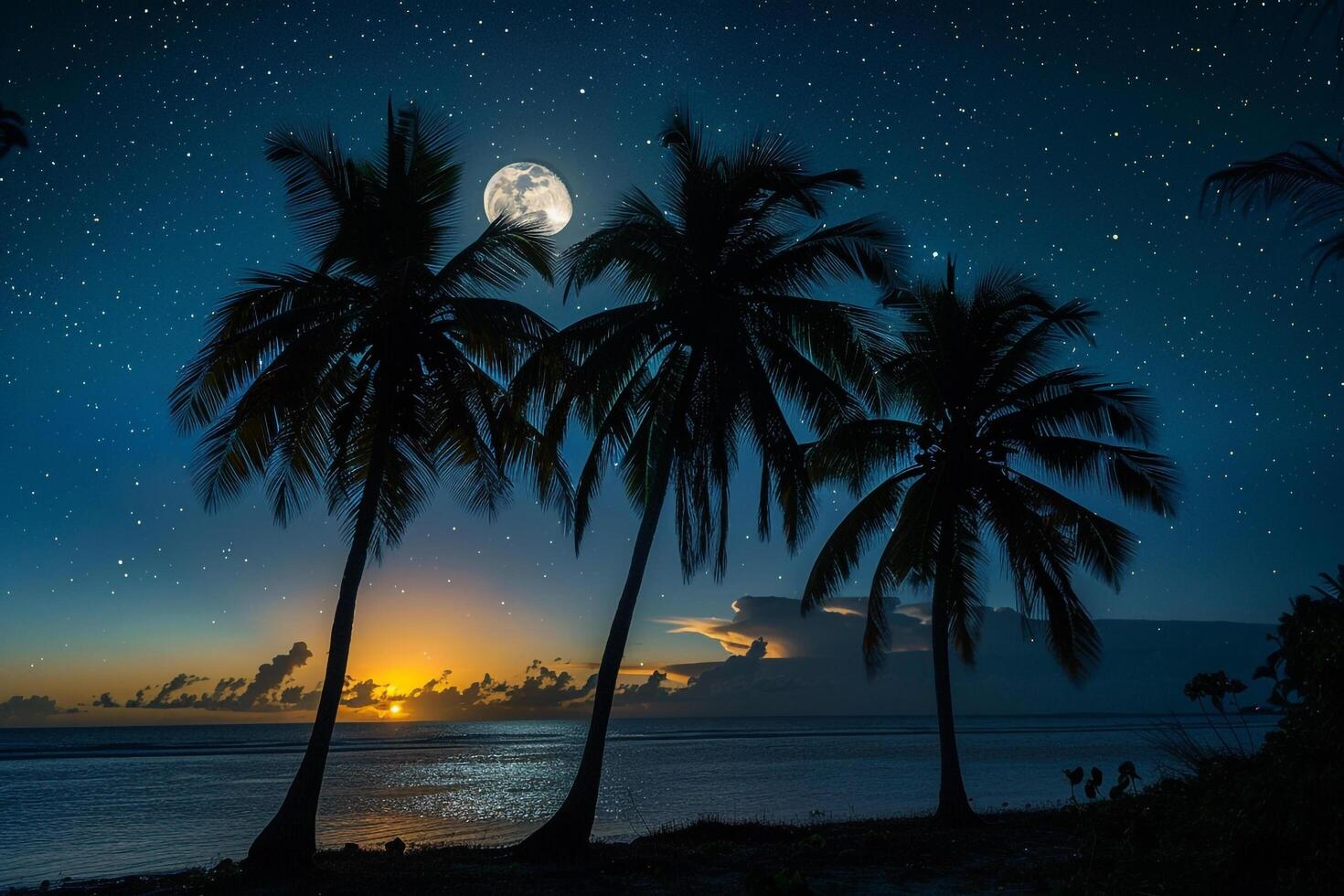 Paradise with Palm Trees Silhouetted Against Full Moon Rising Over Calm Sea with Stars Twinkling in the Night Sky  nature background photo
