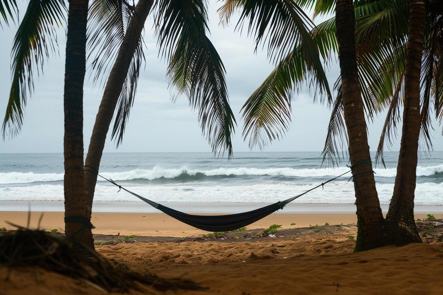 Hammock Swaying Between Two Palm Trees on a Deserted Beach with Waves Gently Breaking on the Shore  nature background photo
