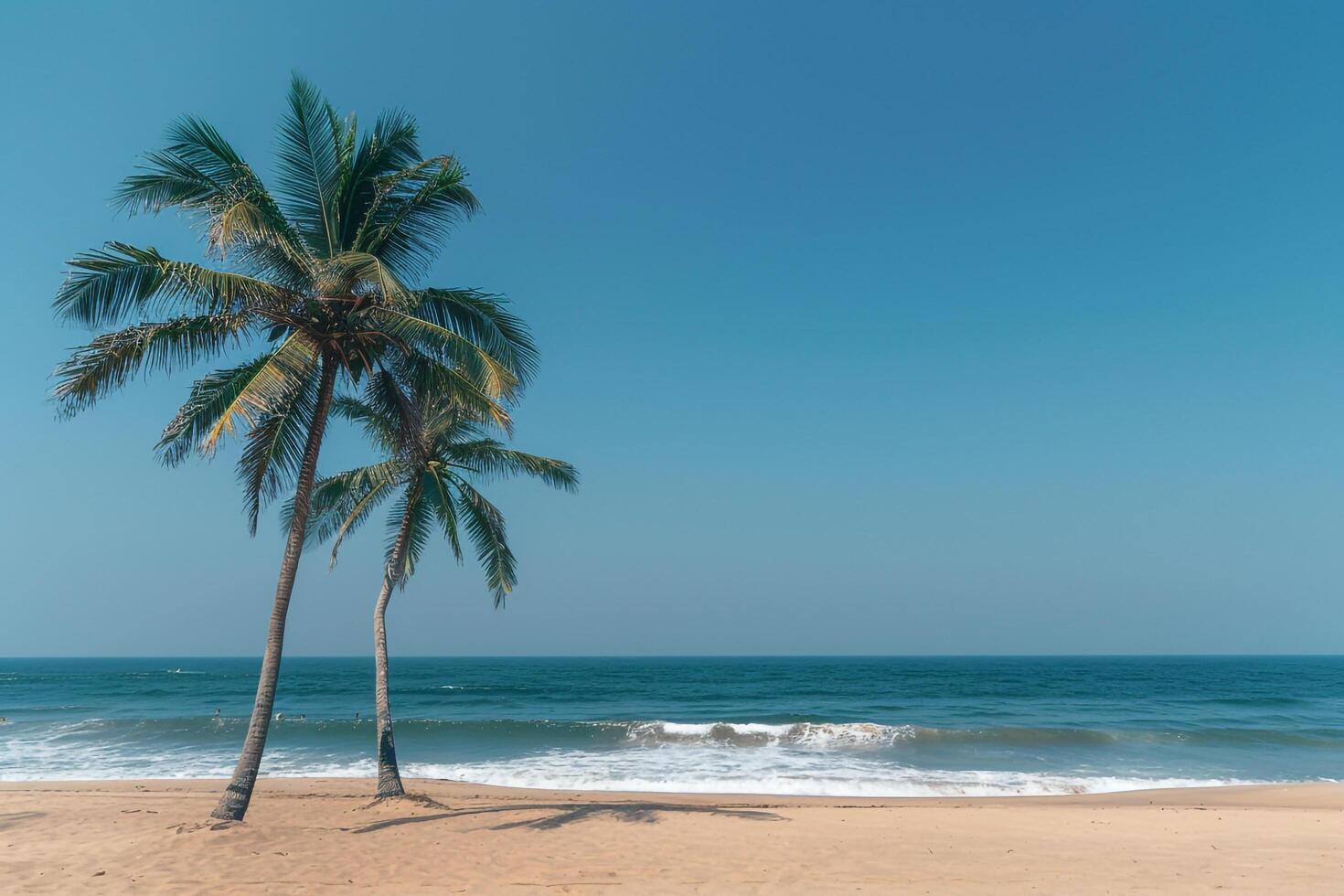 Bliss Coconut Palms on Sandy Beach Under Clear Blue Sky with Gentle Waves Breaking on the Shore nature background photo