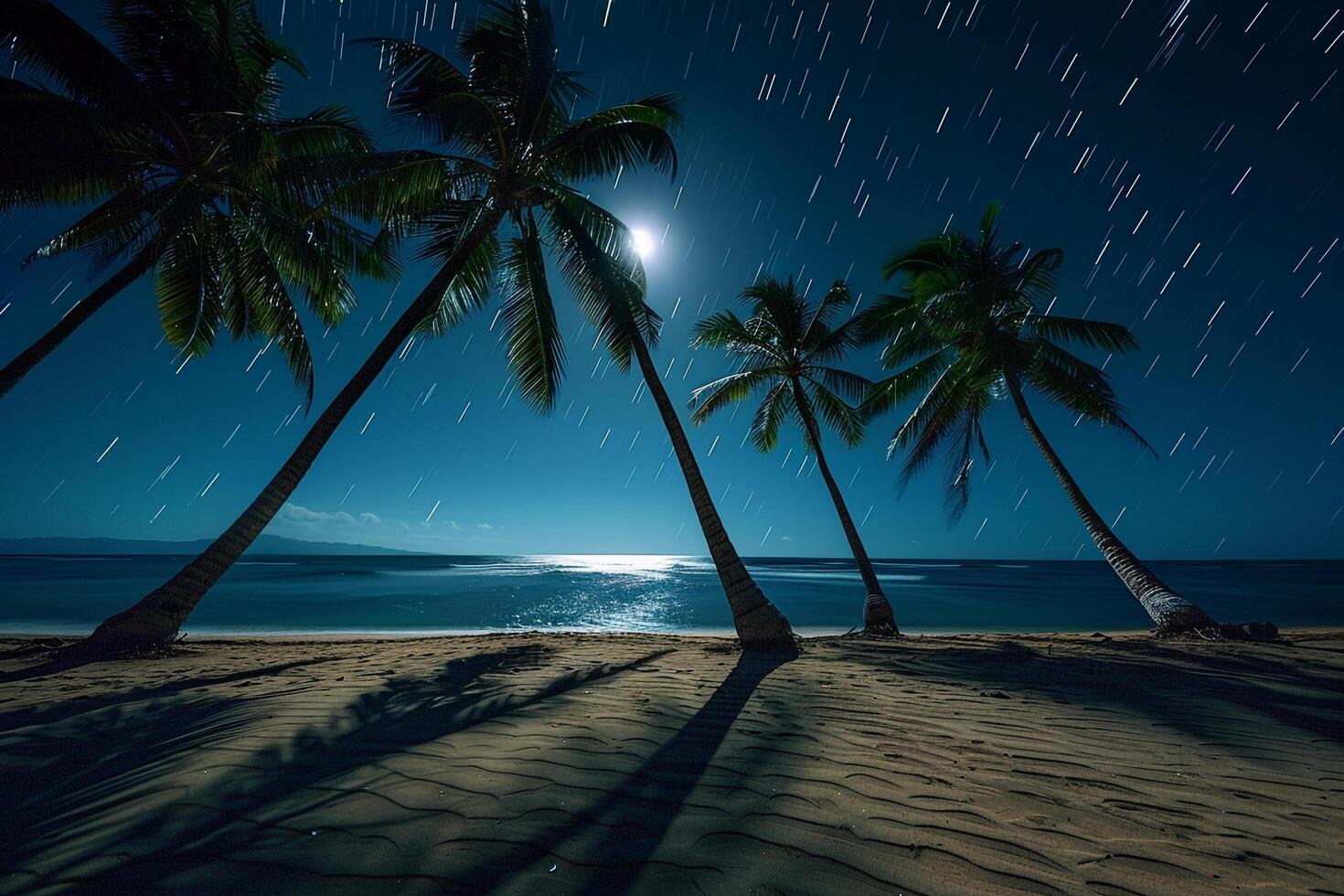 Paradise Palm Trees Casting Shadows on Beach During Full Moon Night with Stars Twinkling in Clear Sky Above nature background photo