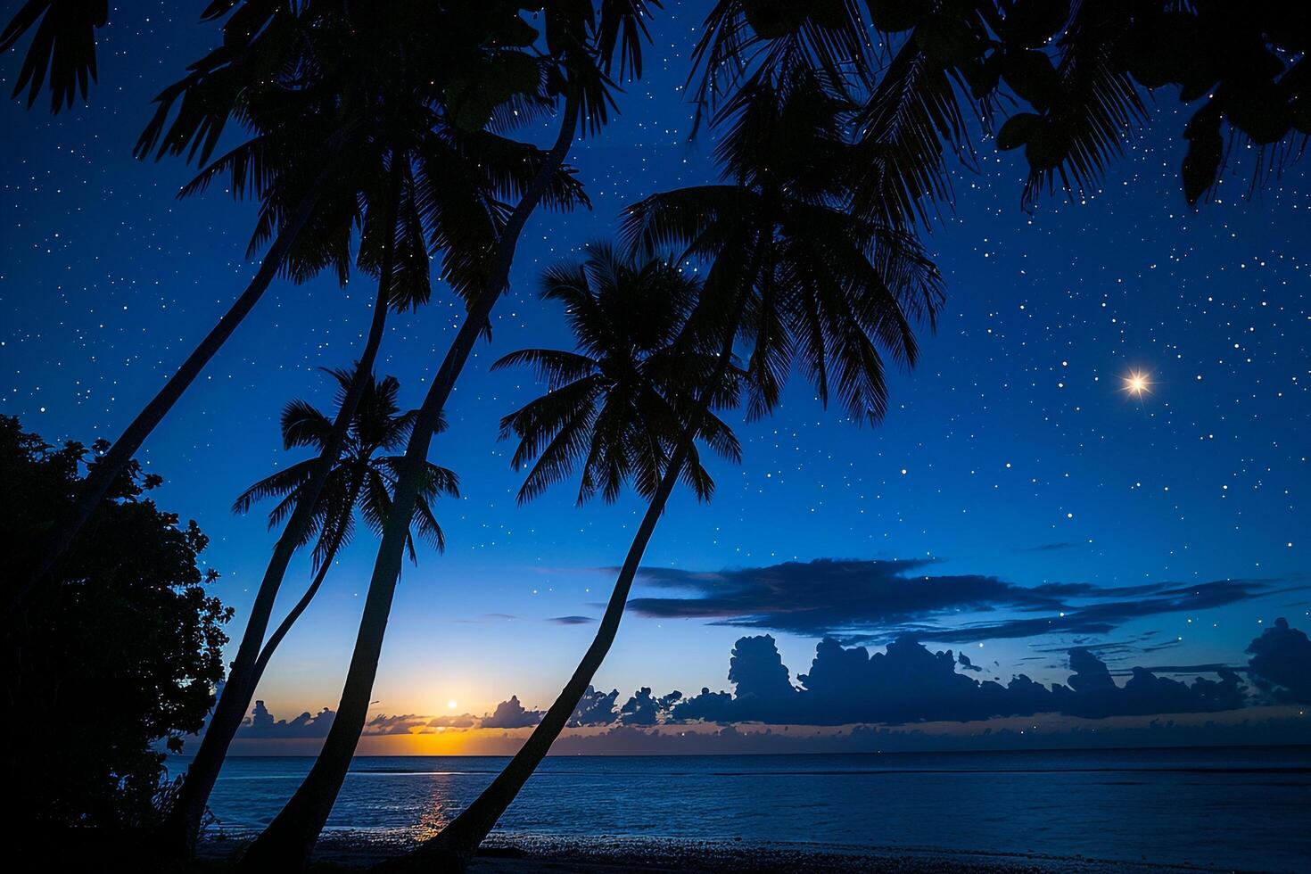 Paradise Palm Trees Silhouetted Against Full Moon Rising Over Calm Sea with Stars Twinkling in the Night Sky nature background photo