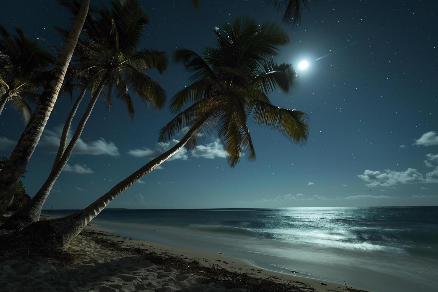 Dreamy Palm Trees Swaying in the Gentle Breeze on Moonlit Beach with the Moon Reflected on the Calm Ocean nature background photo