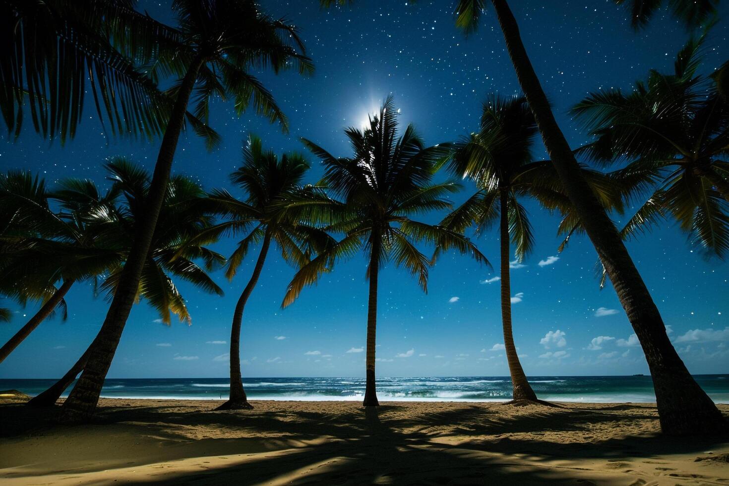 Paradise Palm Trees Casting Shadows on Beach During Full Moon Night with Stars Twinkling in Clear Sky Above nature background photo