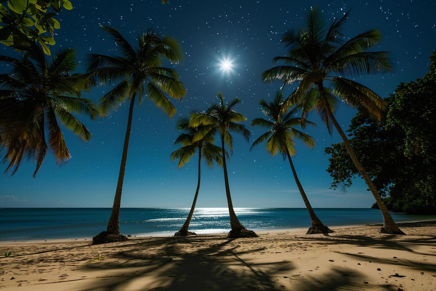 Paradise Palm Trees Casting Shadows on Beach During Full Moon Night with Stars Twinkling in Clear Sky Above nature background photo