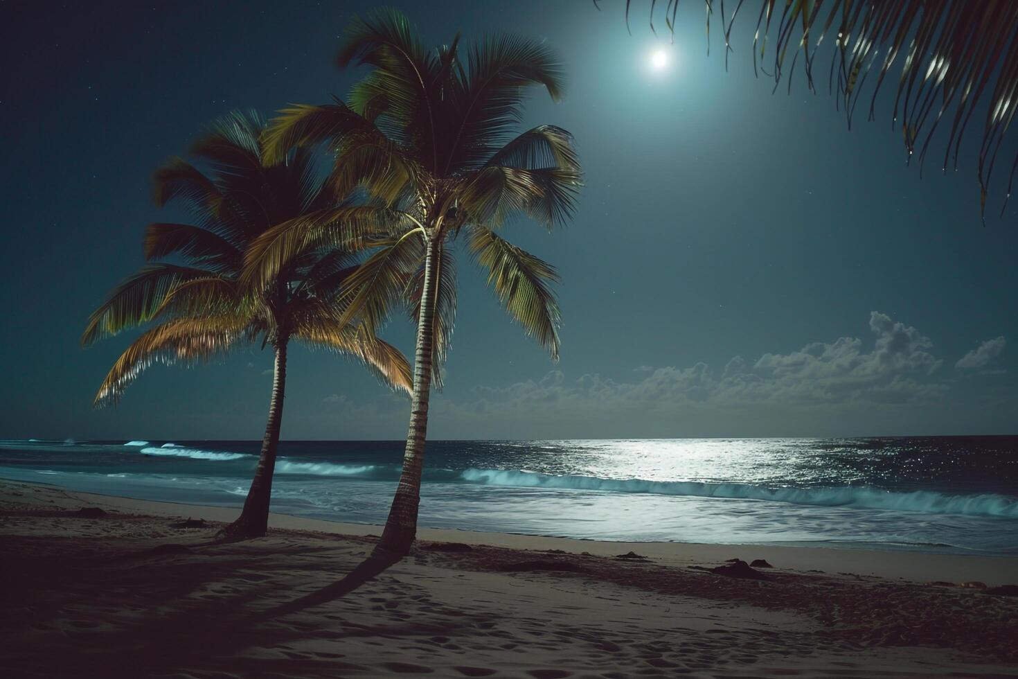 Palm Trees Swaying in the Gentle Breeze on Moonlit Beach with the Moon Reflected on the Calm Ocean nature background photo