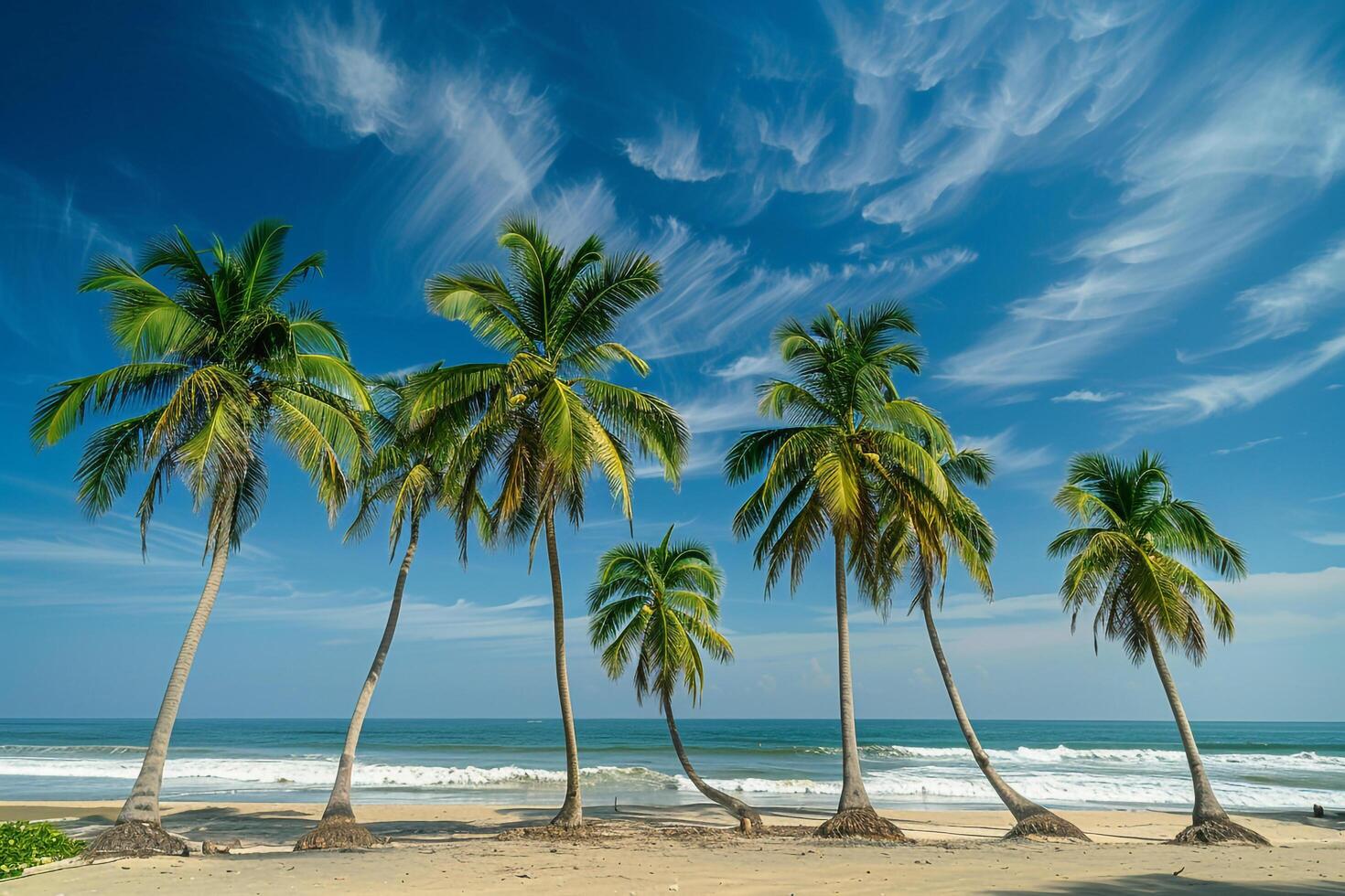 Coconut Palms on Sandy Beach Under Clear Blue Sky with Gentle Waves Breaking on the Shore nature background photo