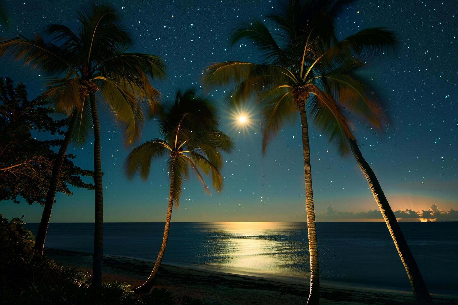 Paradise Palm Trees Silhouetted Against Full Moon Rising Over Calm Sea with Stars Twinkling in the Night Sky nature background photo