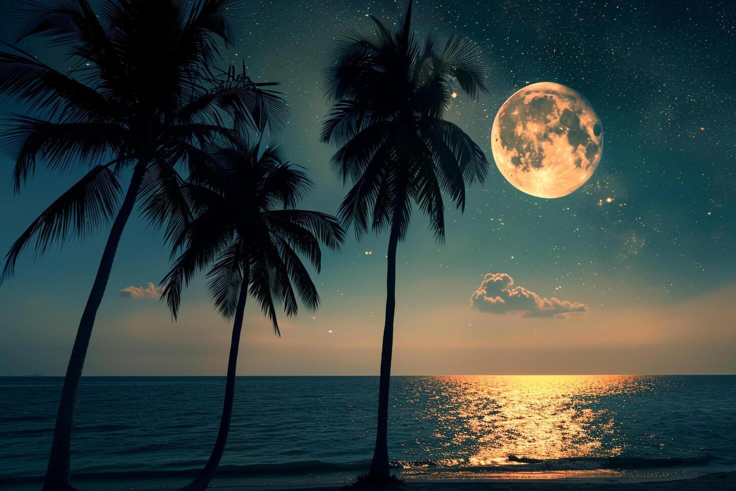 Paradise Palm Trees Silhouetted Against Full Moon Rising Over Calm Sea with Stars Twinkling in the Night Sky nature background photo