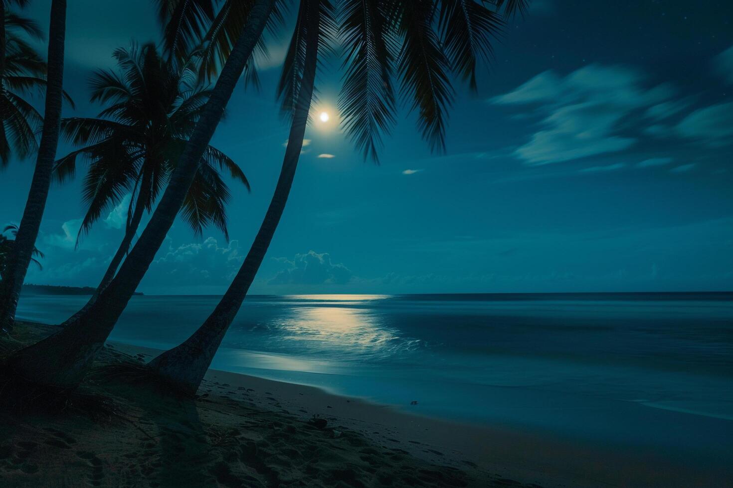 Moonlit Beach with Swaying Palm Trees and Moon Reflections on the Calm Ocean at Night photo