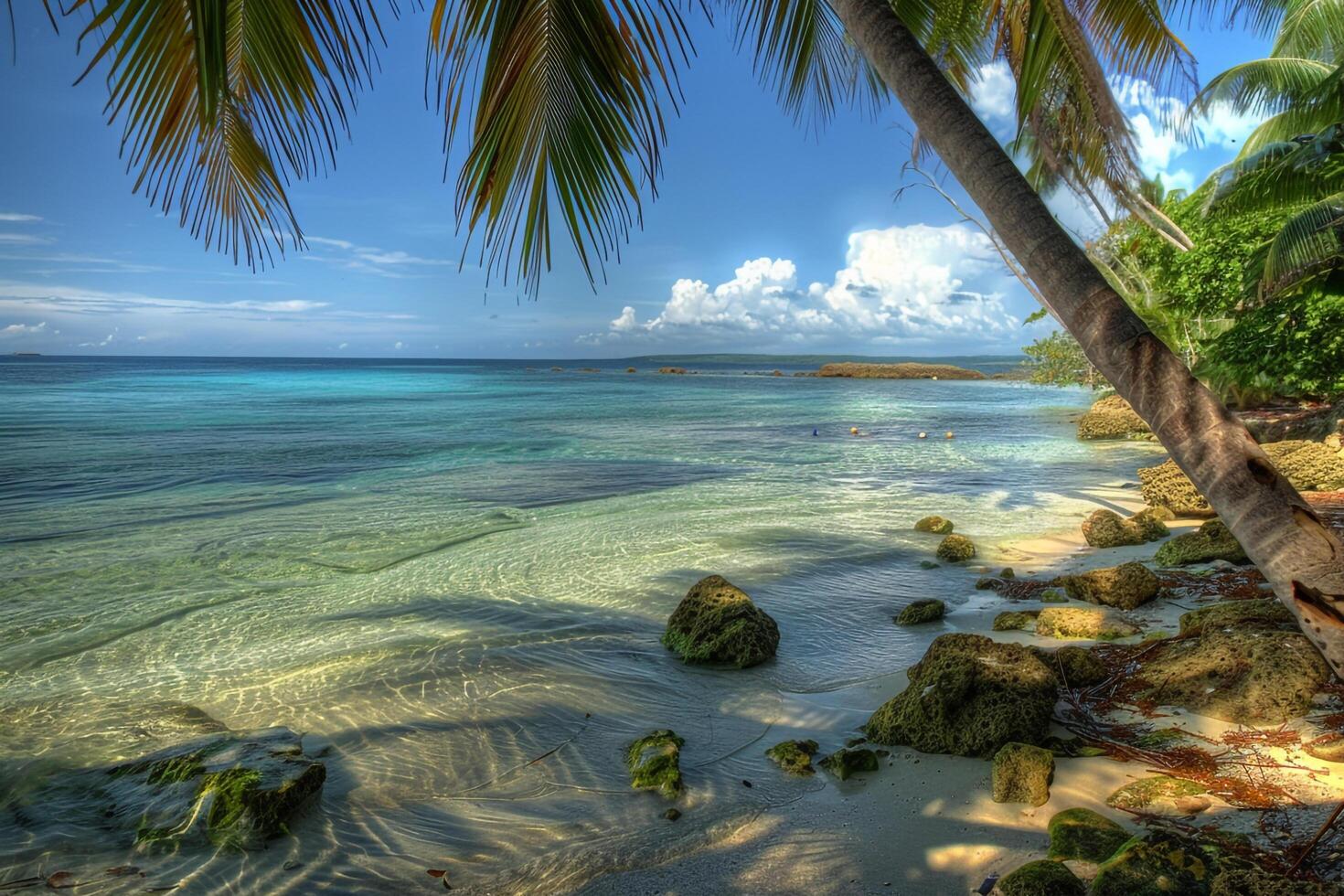 Adventure Palm Fringed Beach with Clear Blue Skies Perfect for Snorkeling with Coral Reefs Visible Beneath photo