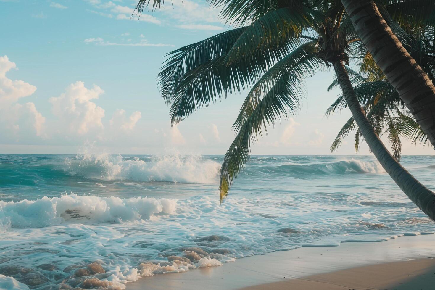 Refreshing Palm Trees Swaying in the Breeze on Sandy Beach with Gentle Waves Rolling Ashore photo