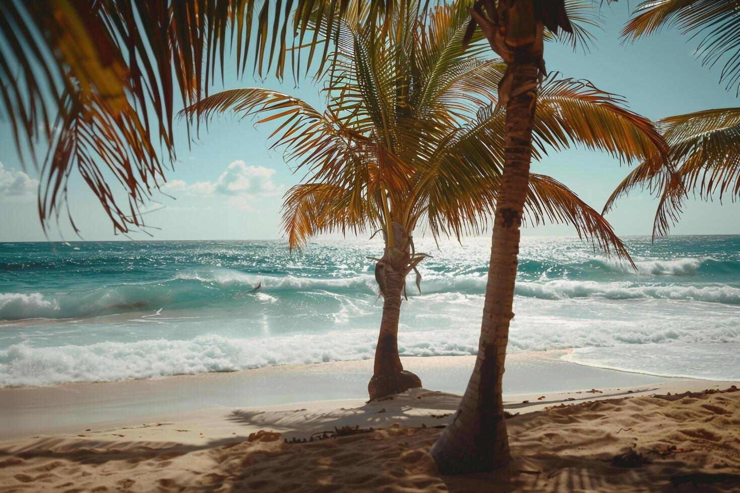Refreshing Palm Trees Swaying in the Breeze on Sandy Beach with Gentle Waves Rolling Ashore photo