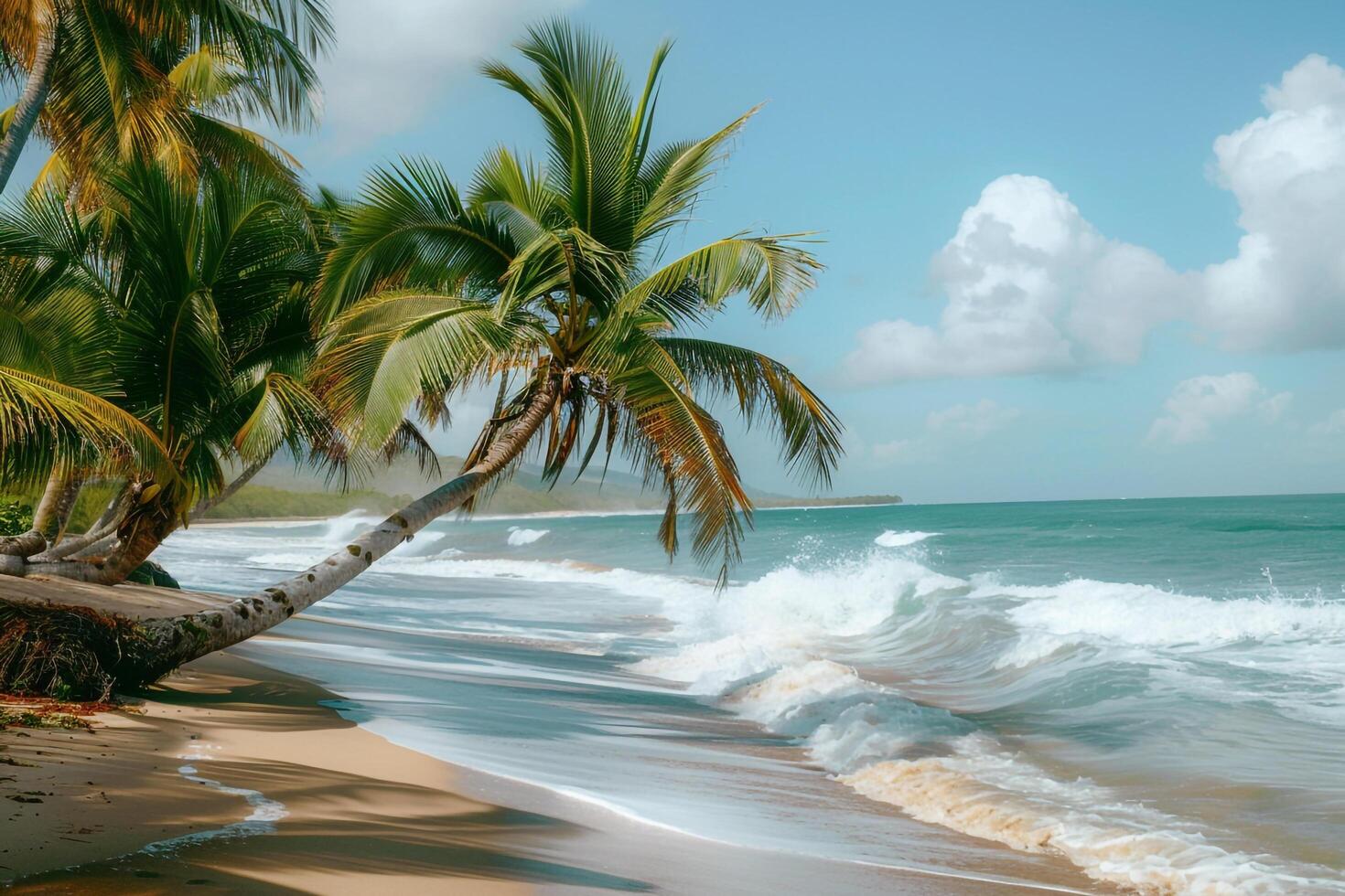 Refreshing palm trees swaying in the breeze on sandy beach with gentle waves rolling ashore nature background photo
