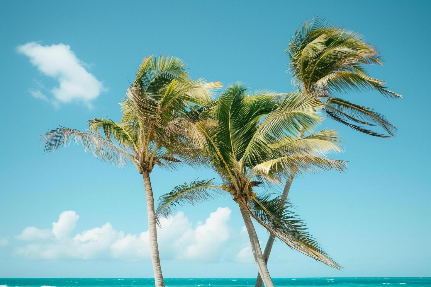 Coconut palm trees swaying gently in the breeze against clear azure sky and turquoise ocean nature background photo
