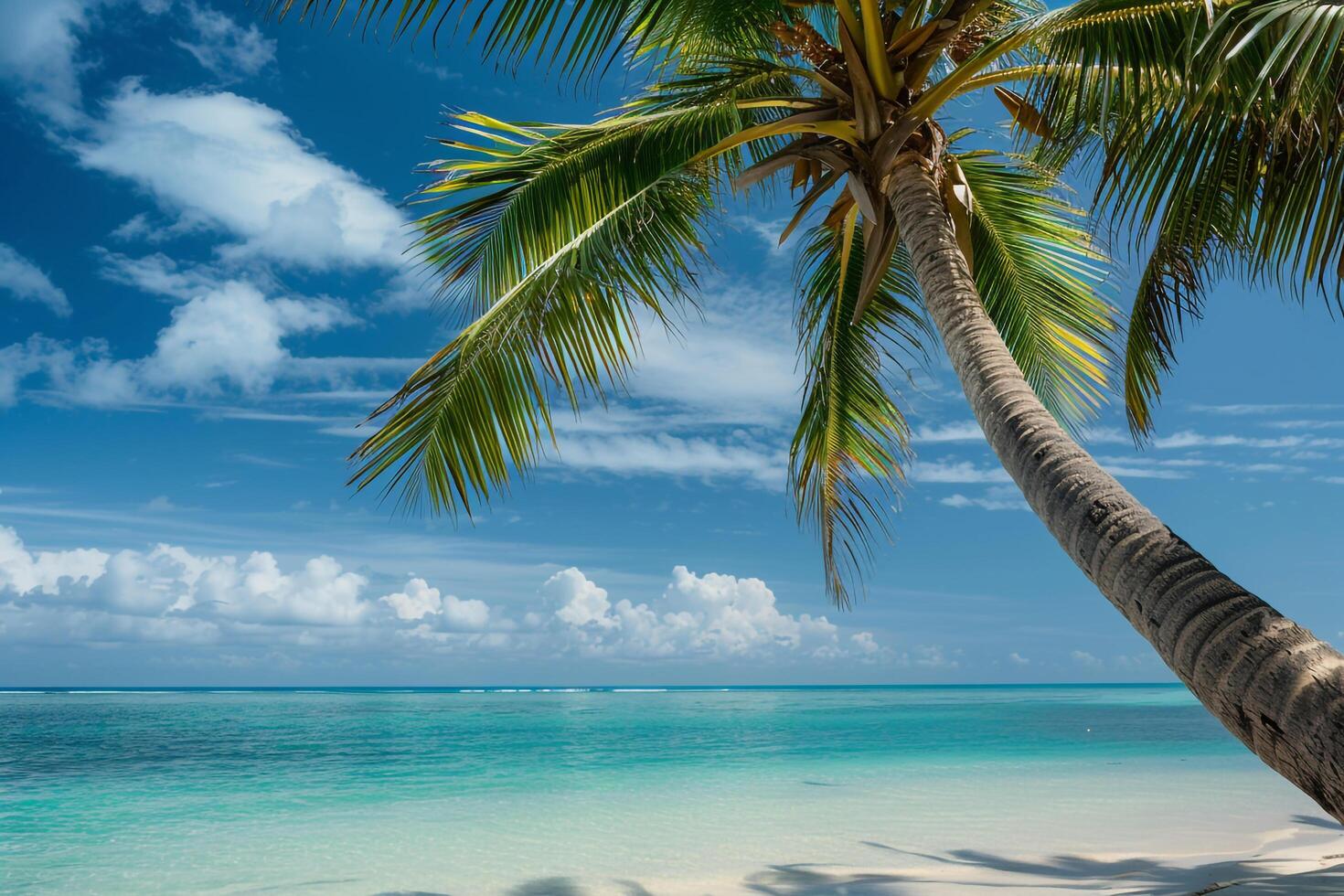 Coconut palm trees swaying gently in the breeze against clear azure sky and turquoise ocean nature background photo