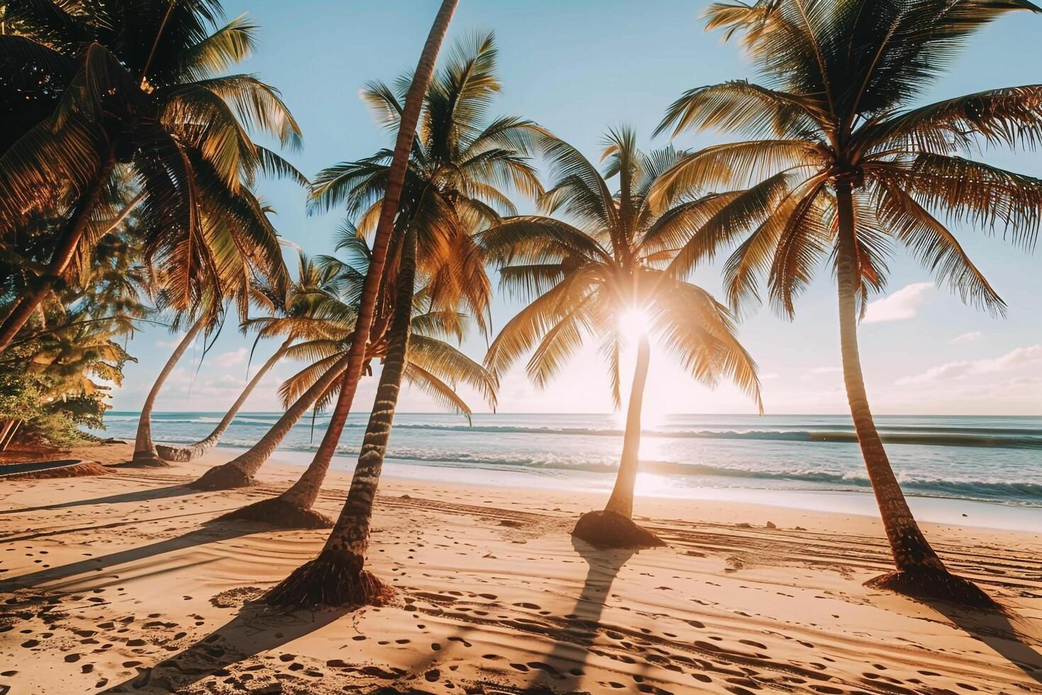 nature background of Tropical Beach at Sunset with Golden Sand and Palm Trees photo