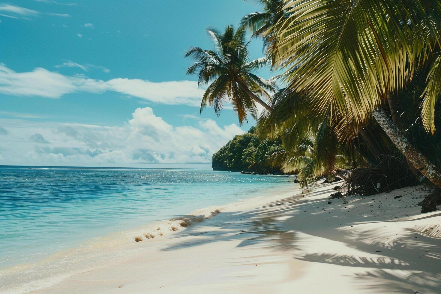 Vibrant Tropical Beach with Palm Trees White Sand and Azure Waters nature background photo